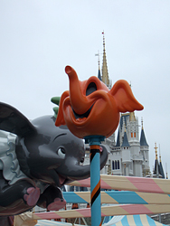 DSCF0497.jpg